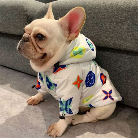 replica designer pet clothes|designer dog clothes for large dogs.